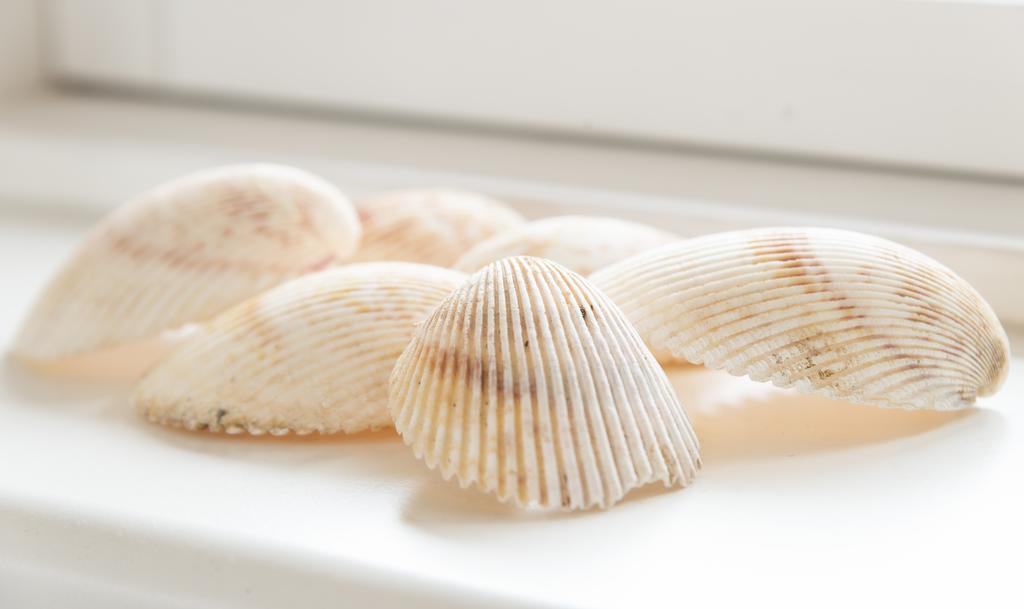 Nordliv Strand Hasle Ngoại thất bức ảnh